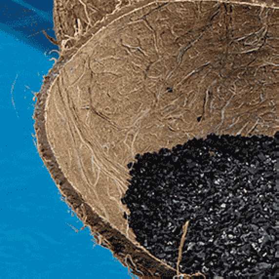 CARBOSORB NC 814 – кокосовый гранулированный активированный уголь