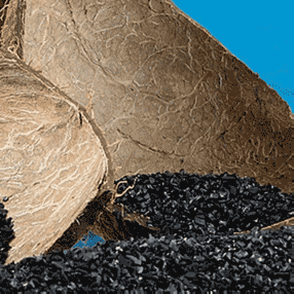 CARBOSORB NC 830 – кокосовый гранулированный активированный уголь