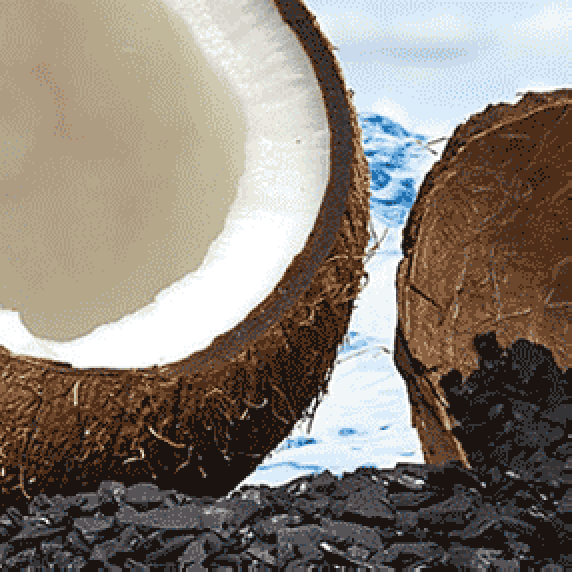 CARBOSORB NC 1240 – кокосовый гранулированный активированный уголь